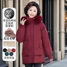 �����������L��Ӻ���q��2025�¿���������Ᵽů���b��̫̫���\