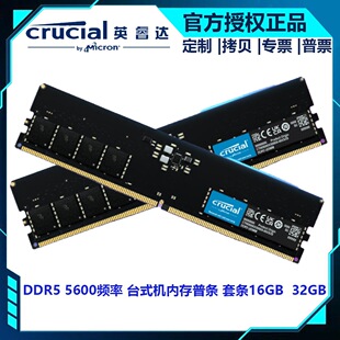 �m��CrucialӢ��_ 32GB16GB���b DDR5 5600�l��̨ʽ�C�ȴ�lԭ�S