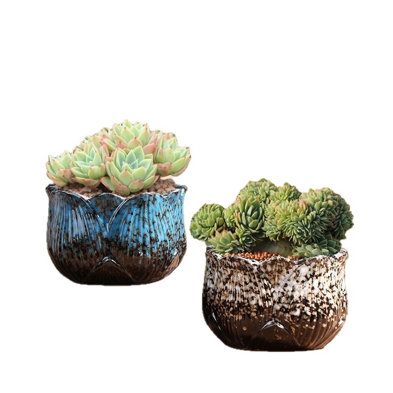 Grupo de loto, suculentas, macetas de cerámica especiales, grandes y pequeñas, cárnicas, macetas de arcilla para el hogar, ventas directas de fábrica al por mayor