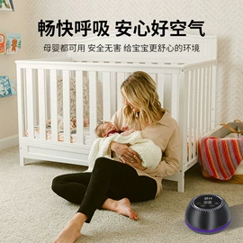 空气净化器;除醛机;车载电器