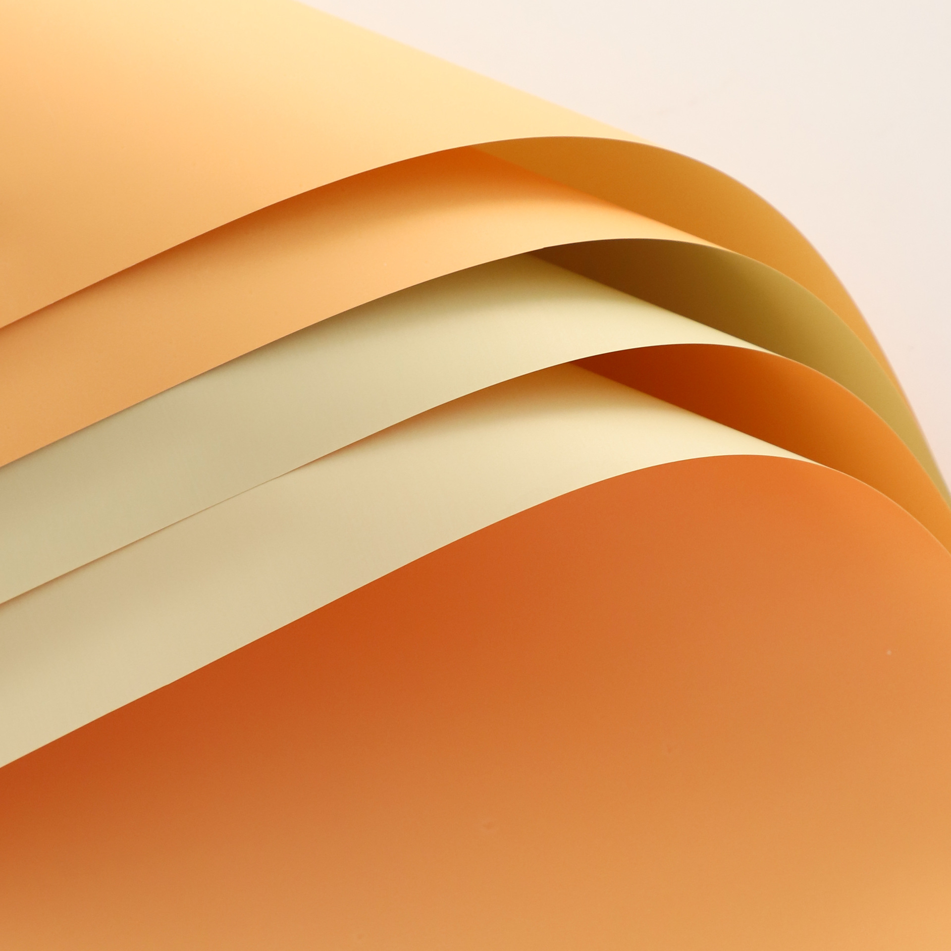 Siete colores cordier de dos colores papel de color sólido papel de oro de papel de oro lipa ramo de flores impermeable papel de envoltura de flores materiales de flores papel de embalaje de flores