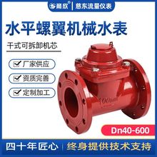 DN250ˮƽɲʽˮˮ S̹Iˮܵˮ