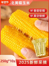 �u�вŖ|���SŴ���װ�10֧������؛�S���X���b��֬�SŴ�������