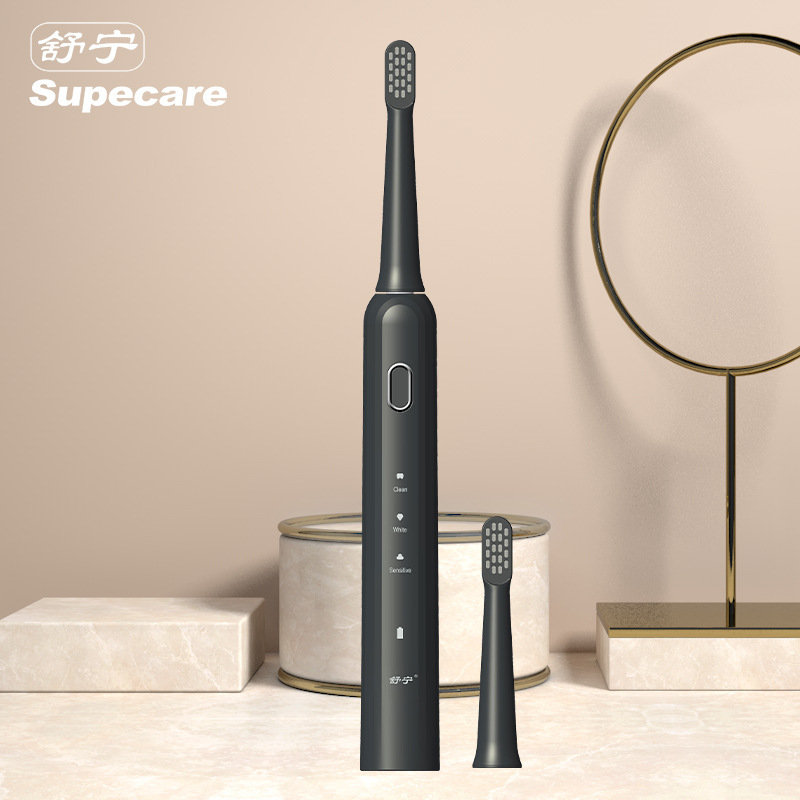 피아노 블랙 충전, 바디 2 브러시 헤드