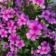 LNļN_׻մNͥԺƷNLN