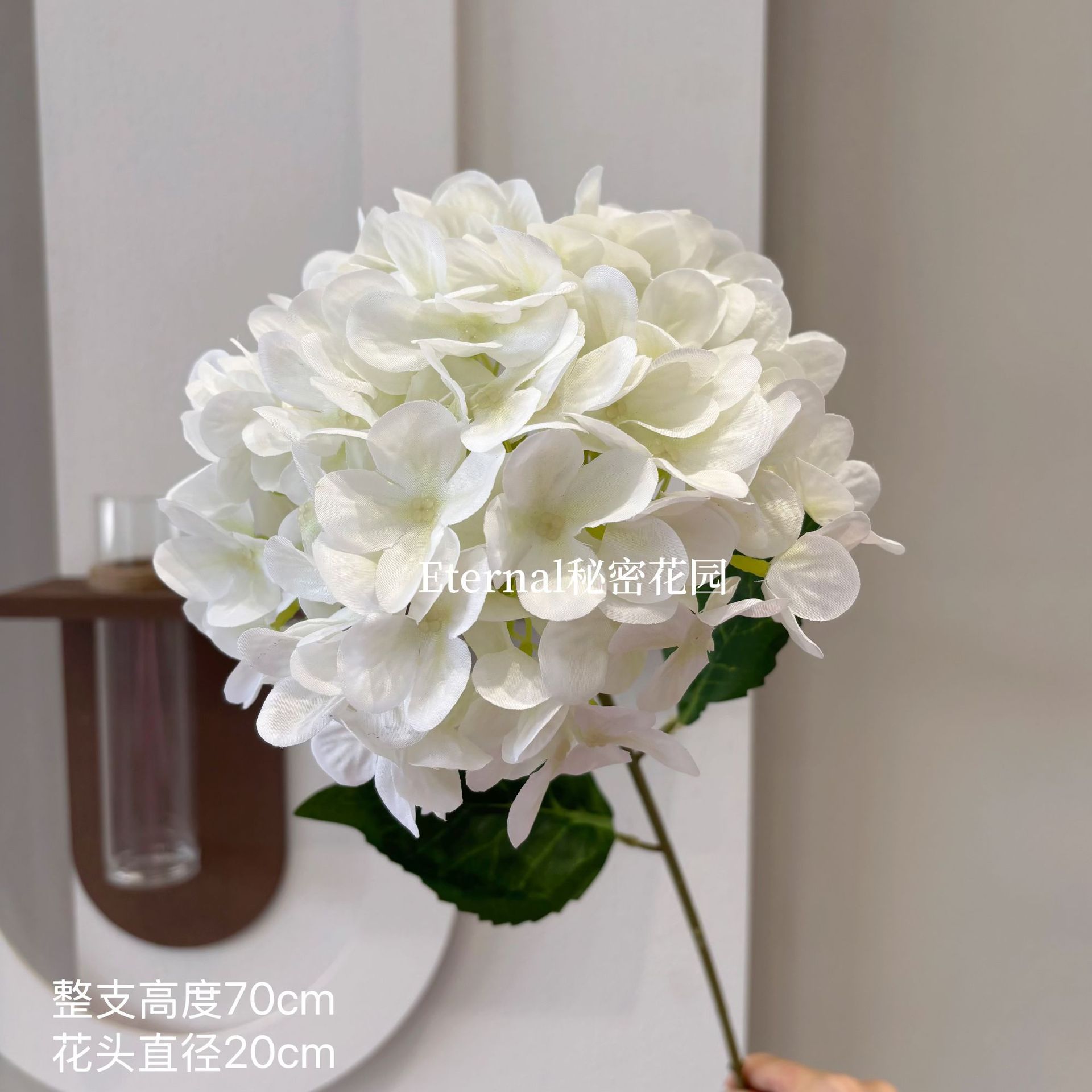 벨라 수국