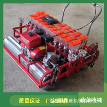 ��������ʽ�߲˲��N�C ��˰ײ��}���c���C �۹�������g�Nֲ�C