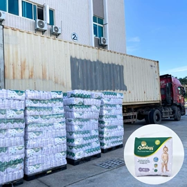 拉拉裤;纸尿裤;成人护理垫