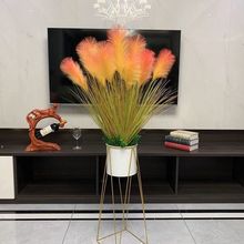 芦苇干花客厅摆件装饰假水草狗尾草落地橱窗摆设花
