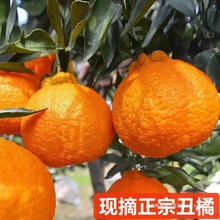 ����̬Fժ����r������ٰҲ�֪��������rˮ����10ˮ�����