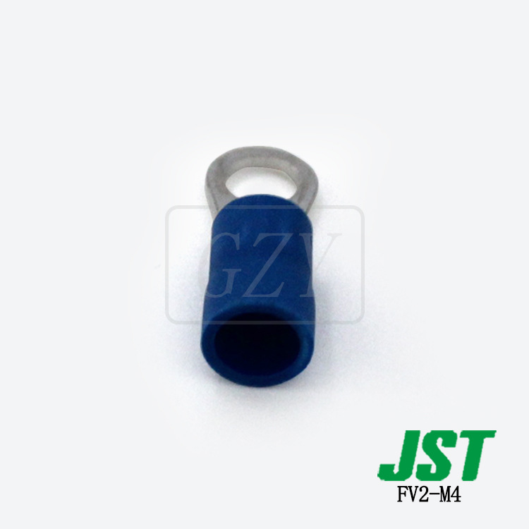 ɶ FV2-M4 ѹ JST
