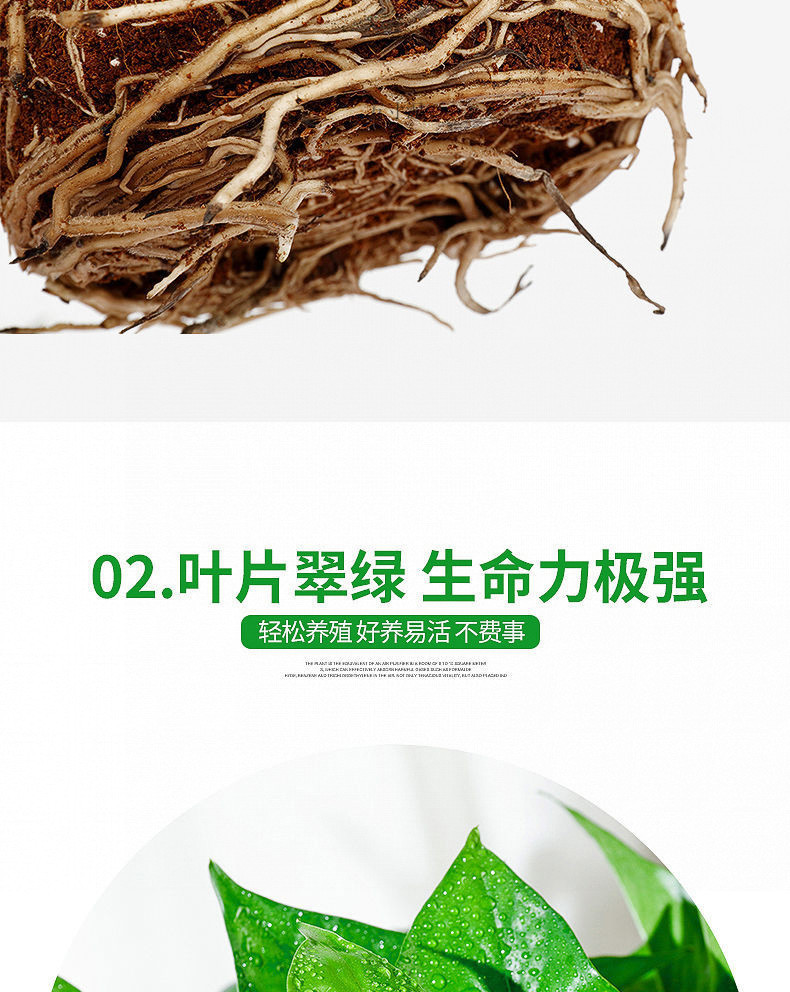 9acf23f0-4e19-4fb2-8315-95c1a4d2b61c.jpe