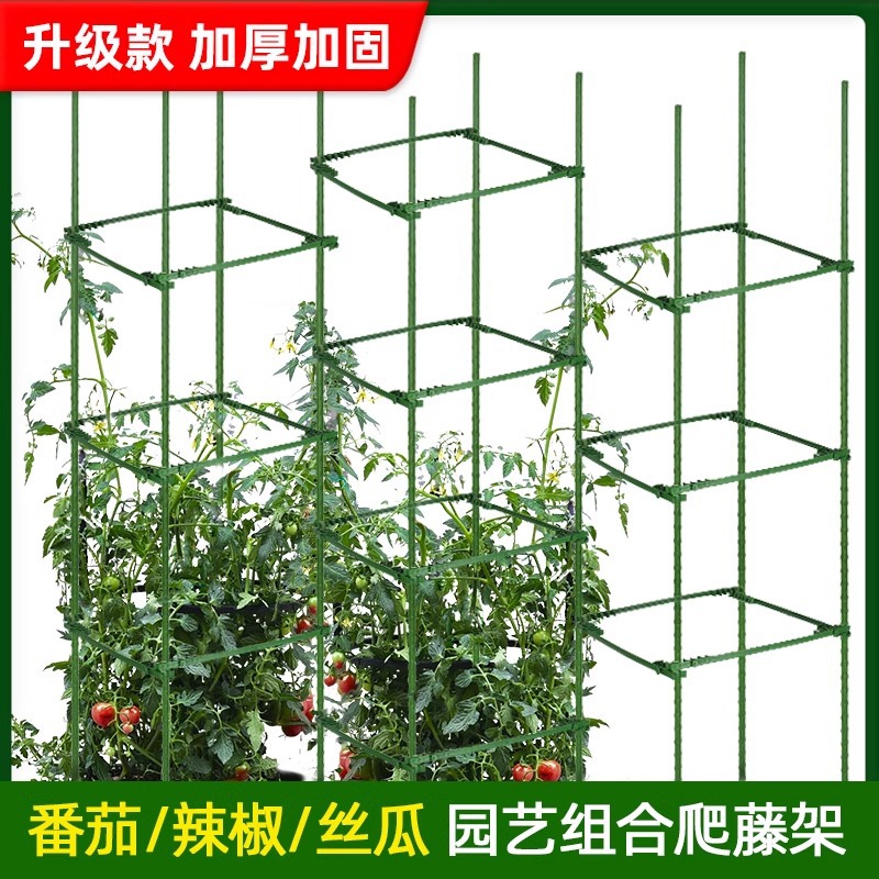 Tomato balcón soporte de plantación de tomate pepinos hormigón de frijol de rastreo de vinas soporte de flores de mesas soporte de planta fijación