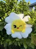 Yellow chicken