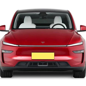 6 oturacaqlı Tesla Model Y/Yl üçün çıxarıla bilən milçək toru