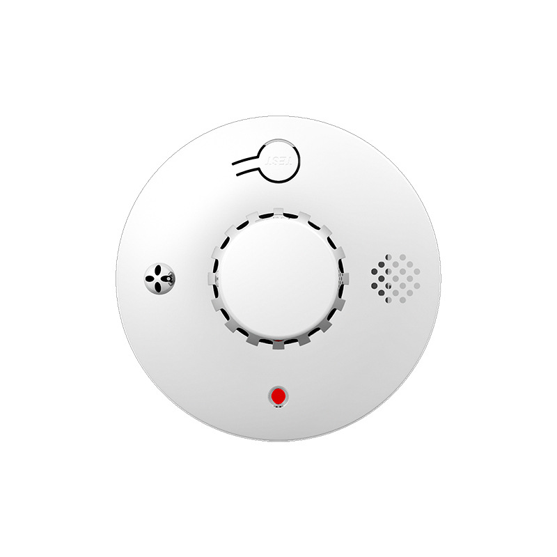 Please see details for reminder s01 [smoke detector + battery included + chinese language] - standalone model