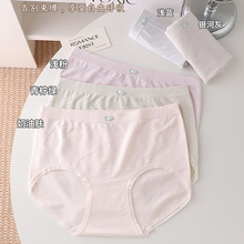 �ߙn�Ứ΢�����΃�ѝŮ ���w�������w�o�p͸��Ůʿ���ǃ�ѝ���l