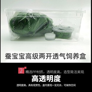 ���x����B����B���،m�޽�֩��������x������߷������Q����͸