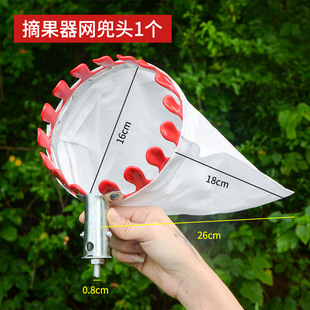 摘龙眼神器