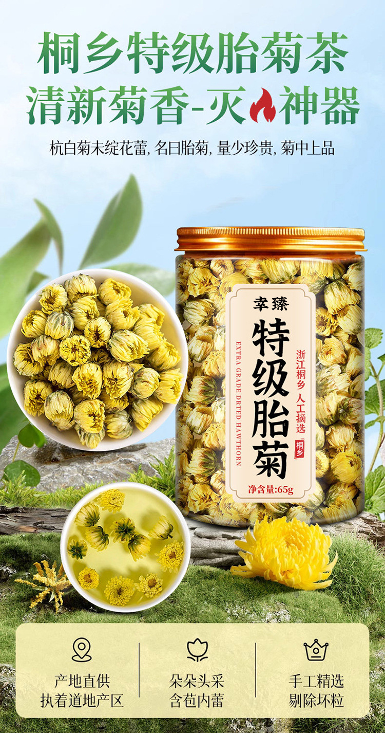 Premium Fetal Chrysanthemum Buds Tongxiang Hangzhou White Chrysanthemum Tea Canned 65g overview