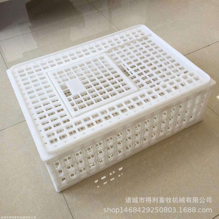 2345_image_file_copy_3