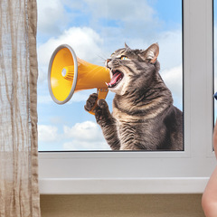 外貿創意貓咪喇叭臥室客廳玄關宿舍家居裝飾牆貼貼紙自粘批發