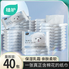 ֲ�o��˪��40��������Ἀ�������������׃�ͯܛ�޽q�鼈������l