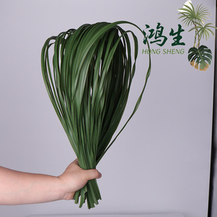 ܛzGFˮ DIY廨軨ֲ OӋ]