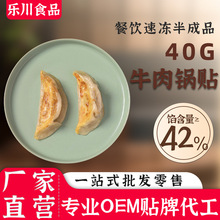 乐川食品鸡肉蒸饺肥叔锅贴半成品定制饺子速冻商用牛肉40g水饺