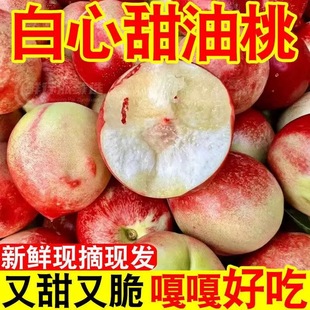 ���r���闗���җ�ζ�д�����Ү����r�����Ұ���tƤ������С����