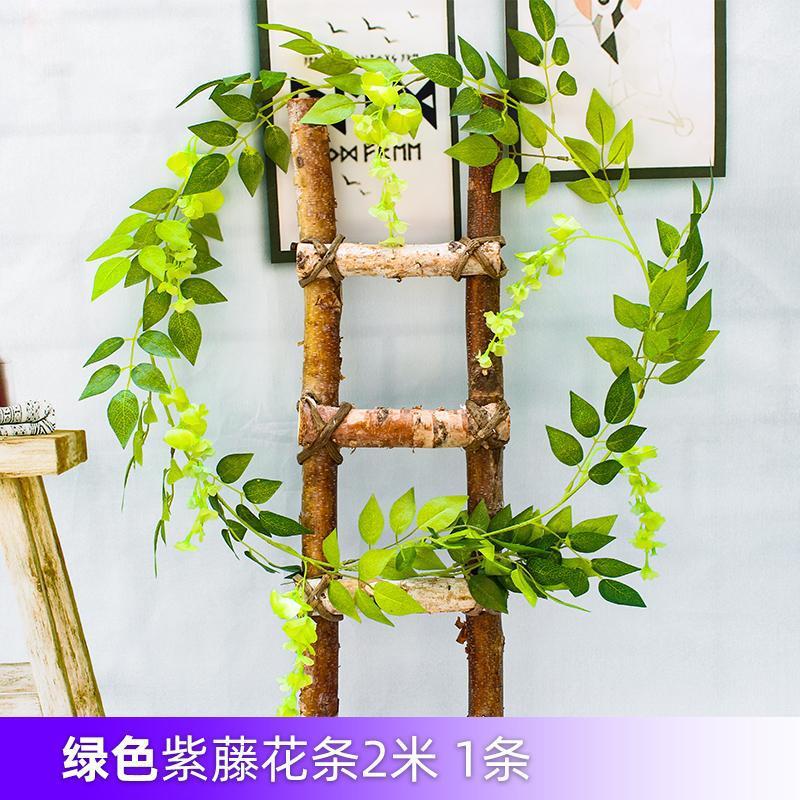녹색 등나무 꽃 1