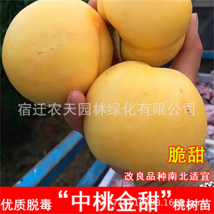 ���ҽ������Ҙ��� ��T������ ���Ҙ��箔��Y�����ϱ����Nֲ����