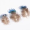 Peacock blue tablets feather wholesale earrings hair ornament DIY handmade material Mobo Mao Diancui crafts decoration