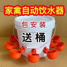 家禽饮水器全自动新款喂鸡自动饮水器鸡鸭鸽子饮水碗养殖水桶