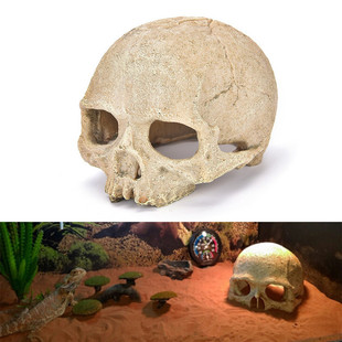 Crawler jar feeding box landscape decoration sand skull spider scorpion lizard Palace fish tank decoration fish farming supplies