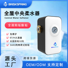 大通量全屋中央柔水器净水器家用洗衣机地暖除垢过滤器物理阻垢器