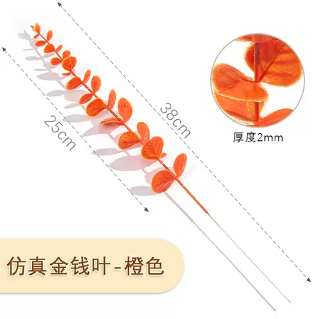 Eucalyptus single stem - orange