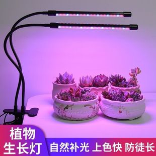 Full Spectrum Imitation Sunlight Plant Growth Lamp Indoor Household Succulent Coloring Fill Light Led Purple Light Flower