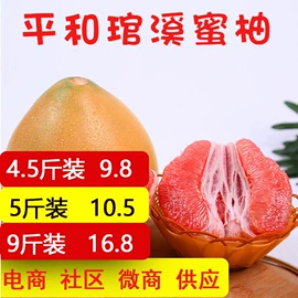 苹果;梨;其他水果