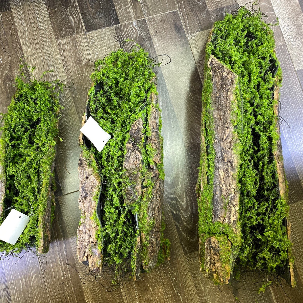 Creative Moss Moss bark decoration handmade garden decoration set window tropical rainforest plant corner design