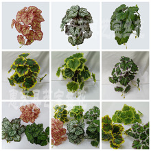 �����~С���� ����ֲ���~�����~ �����ݱ������b�С�辰�̲��~��