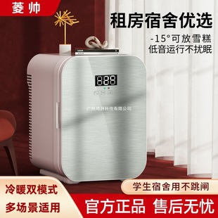 Lingshui Car Mini Refrigerator Mini Dormitory Rental Small Breast Milk Single Refrigerator Car Home Dual Use