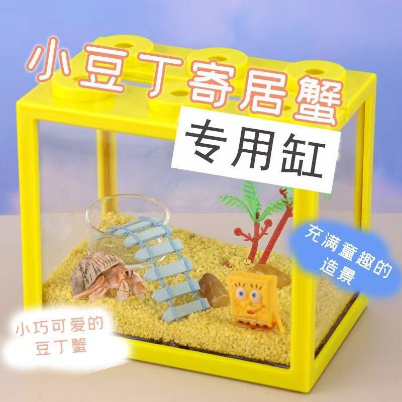 寄居蟹摆摊饲养套装套迷你造景小套盒好养易活学校夜市饲养套装|undefined