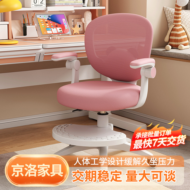 Children's Learning Chair, Primary School Students' Posture Correction, Liftable Writing Chair, Computer Chair, Home Homework Desk Chair