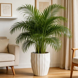 装饰花瓶;花盆装饰;花盆容器