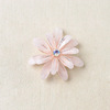 Hair accessory, bag, clothing with accessories, metal resin, factory direct supply, handmade, flowered