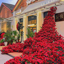 �W�t����õ�廨�ٲ������̈���䁴򿨠��ǲ��È�������b���