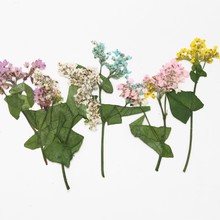 �w����ֲ��˱���Ȼ�ɻ�Ѻ���ֹ�DIY���z�֙C������b��ϻ���