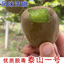 ����J���Ҙ��ϱ����Nֲ�殐����t���S��ܛ���J���Ҙ��箔��Y��