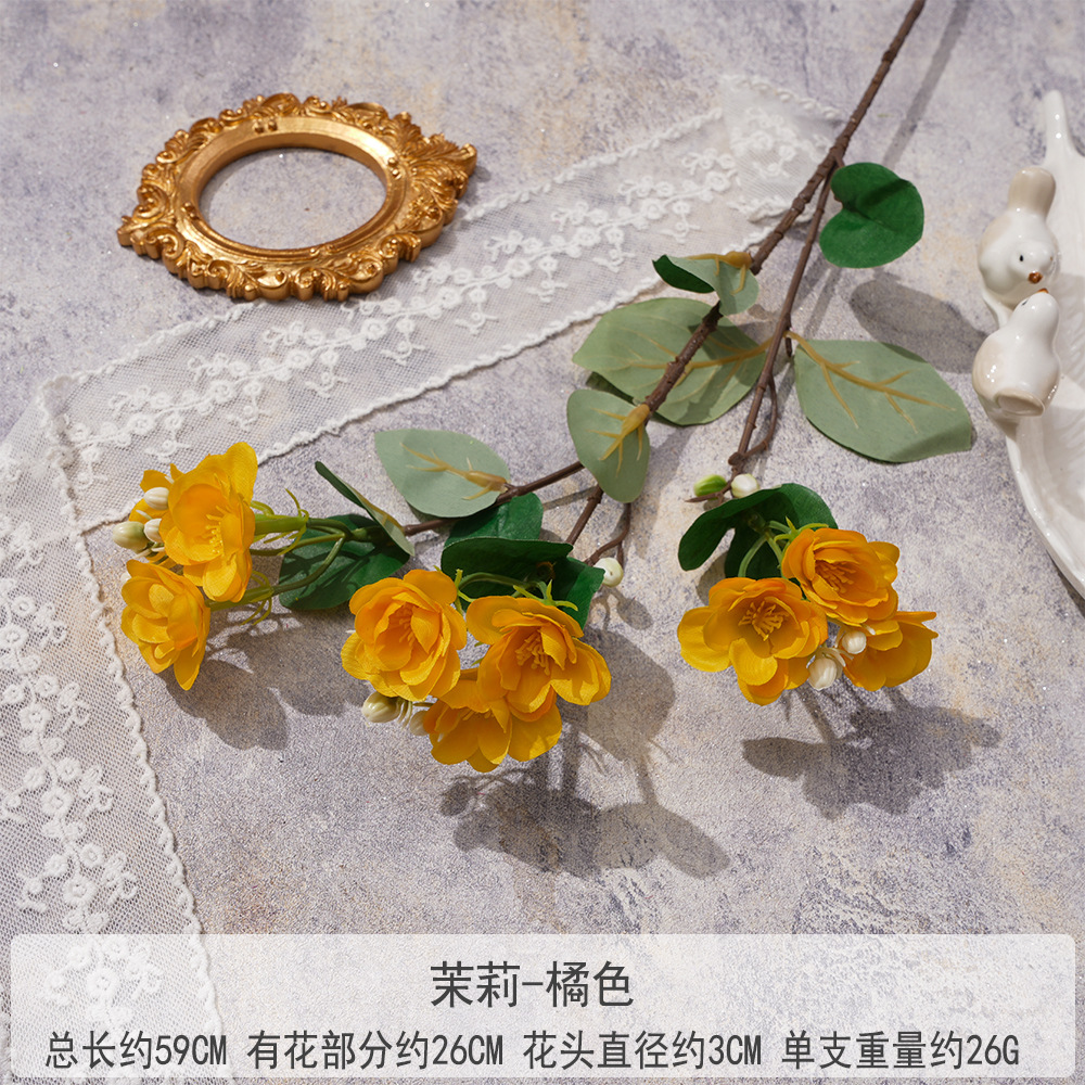 XC-재스민-오렌지